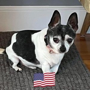 Meet your Posher, Janice